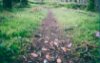 Paved path on ground