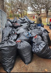 Trash bags filled with leaves and branches